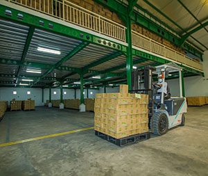IMG_4788