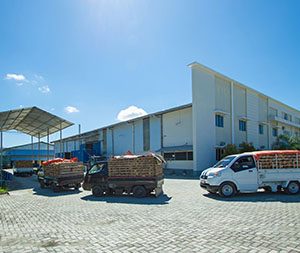 IMG_4793